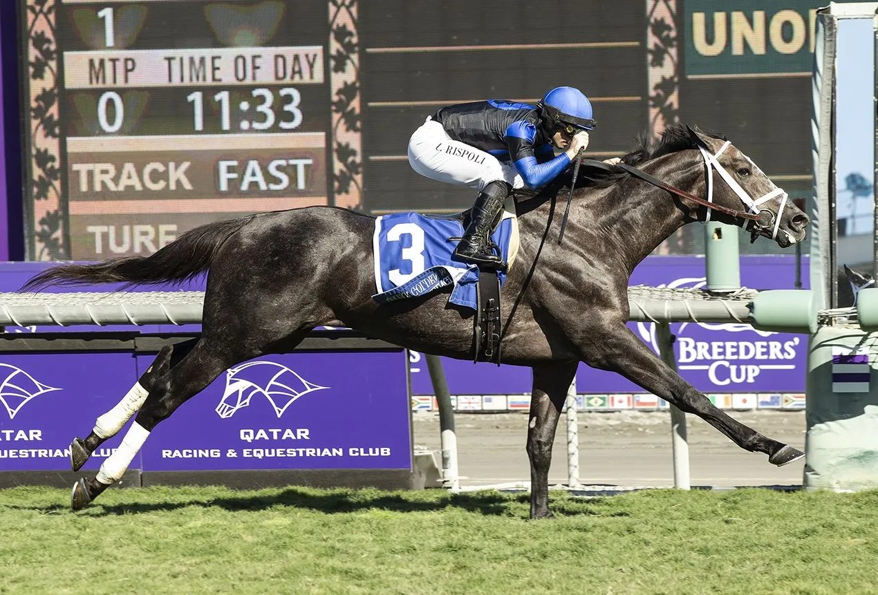 Lord Bullingdon wins Qatar Golden Mile at SA Nov 3 2023