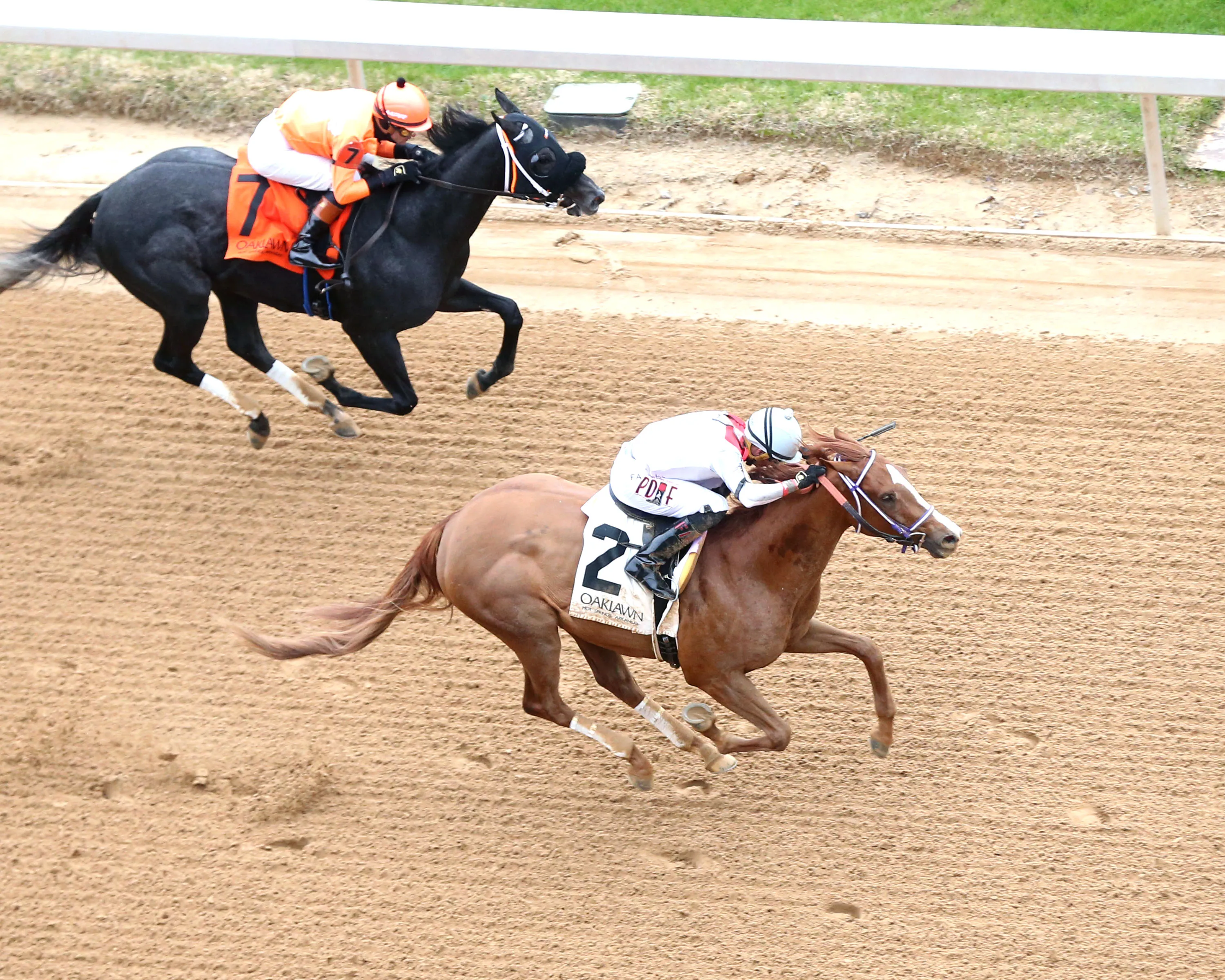 G W'S GIRL - The Mockingbird Stakes - 01-04-25 - R07 - Oaklawn Park - Aerial Finish 01 - Andrew Stauffacher.jpg