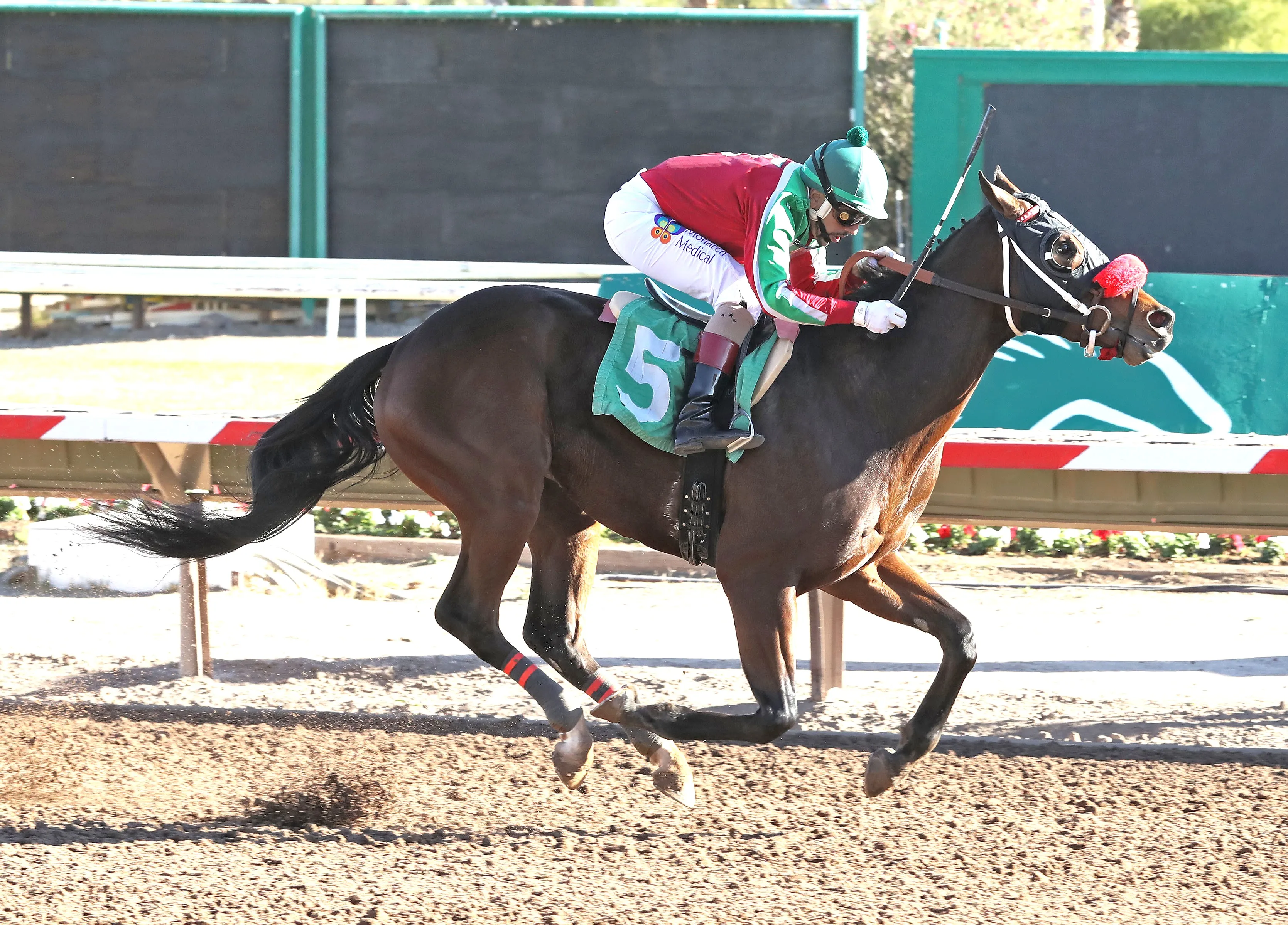 Candy Caballo wins at TUP Dec 10 2024