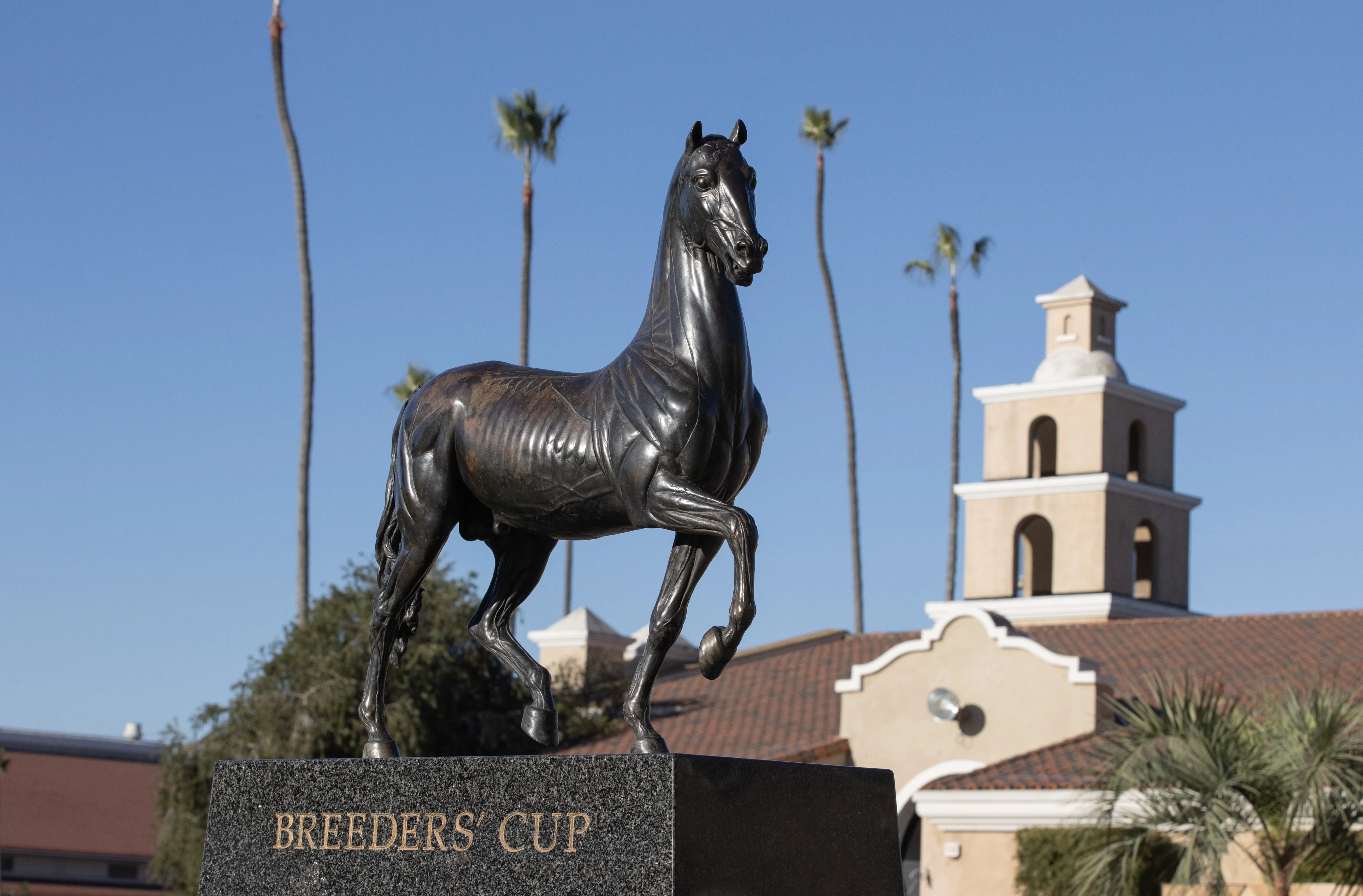 Del Mar04.Breeders' Cup.Scenic.10-22-24.BL_.jpg