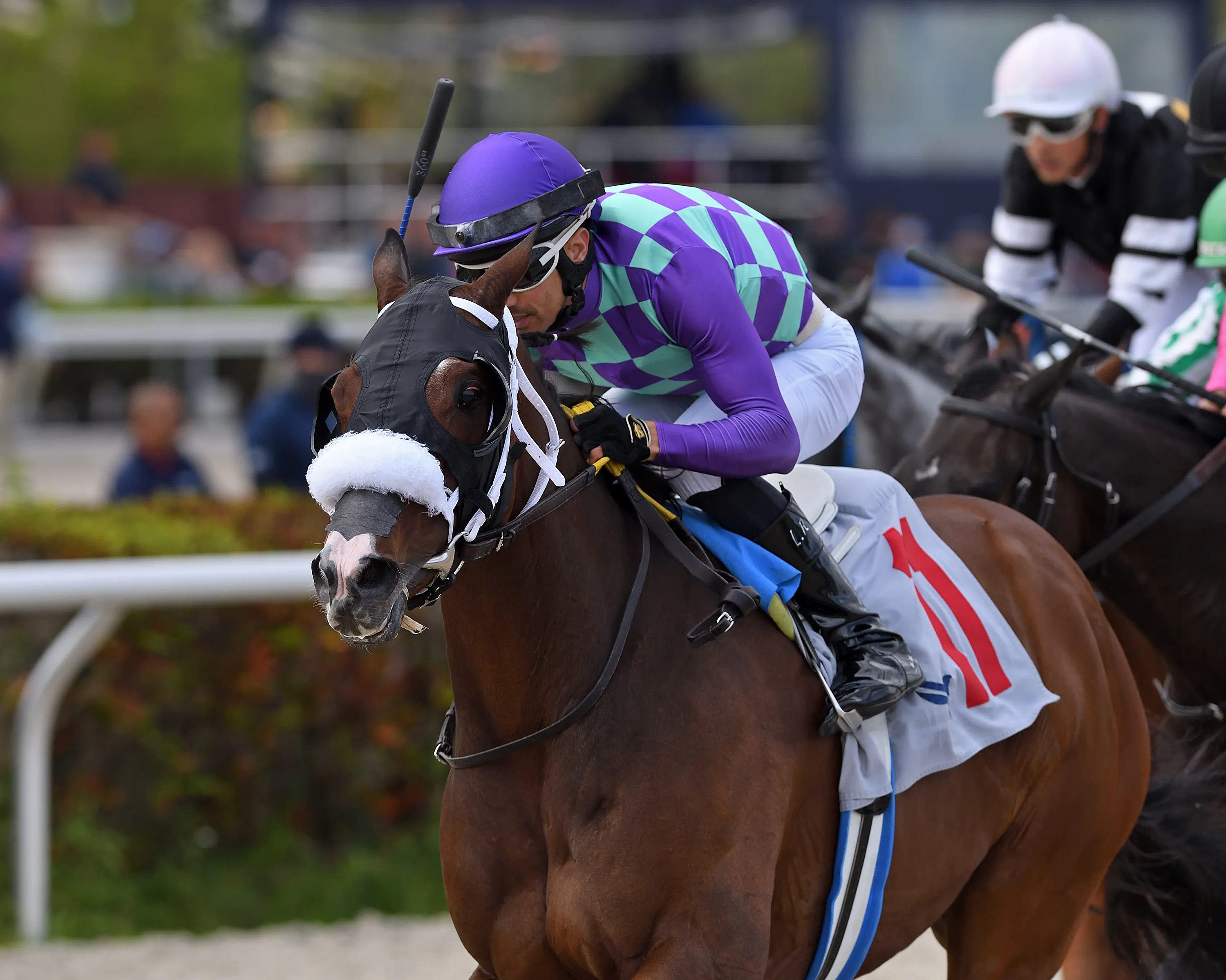 Saratoga Flash wins at GP Feb 12 2023