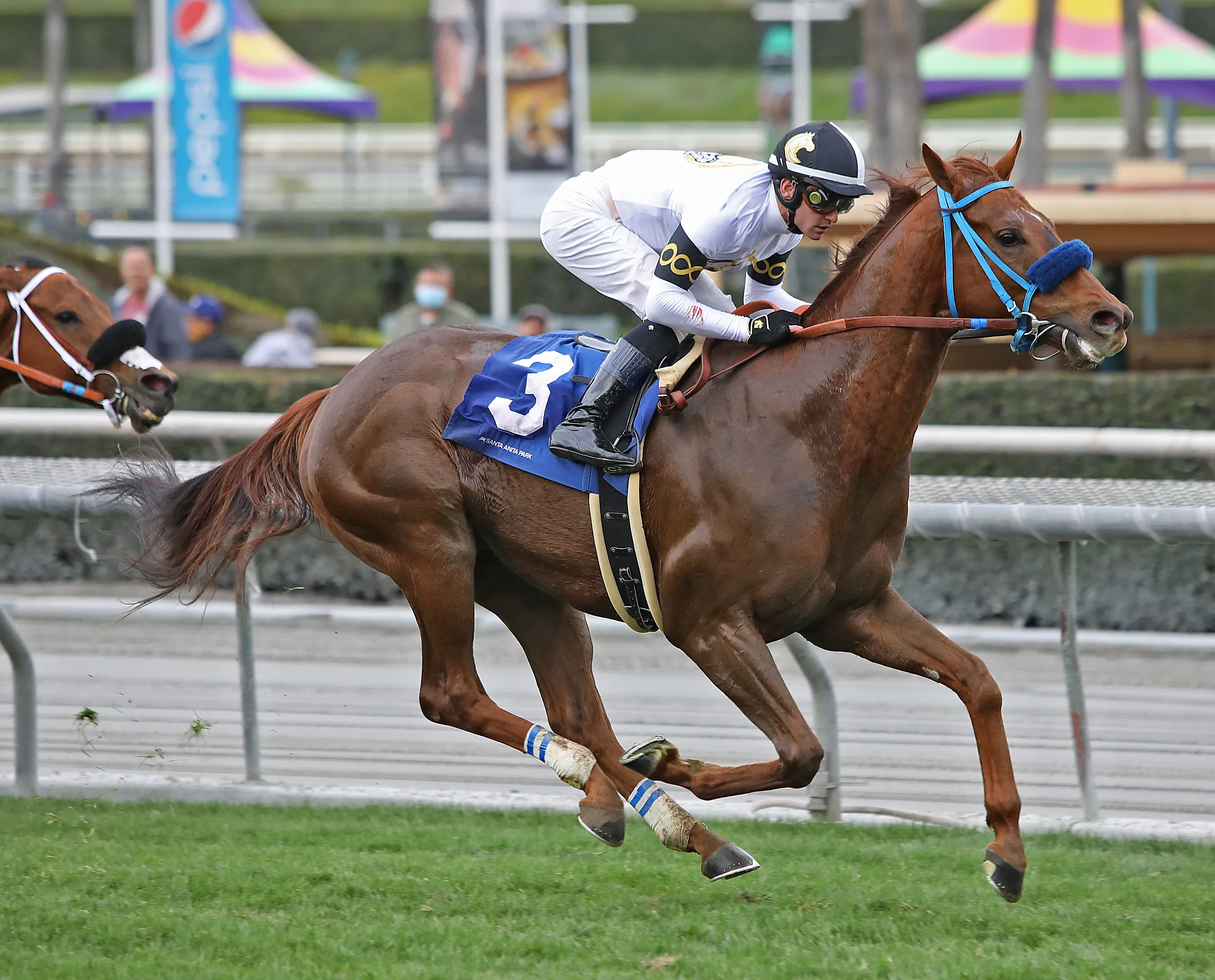 Aligato - Unusual Heat Turf Classic 2022