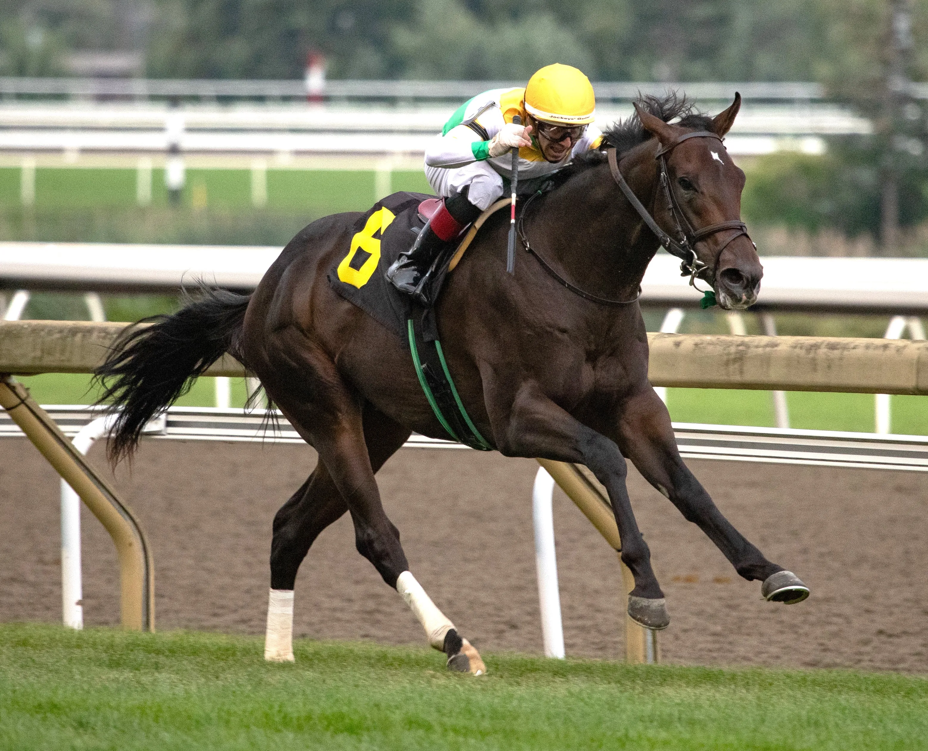 Western Whirl wins maiden at WO Aug 20 2023