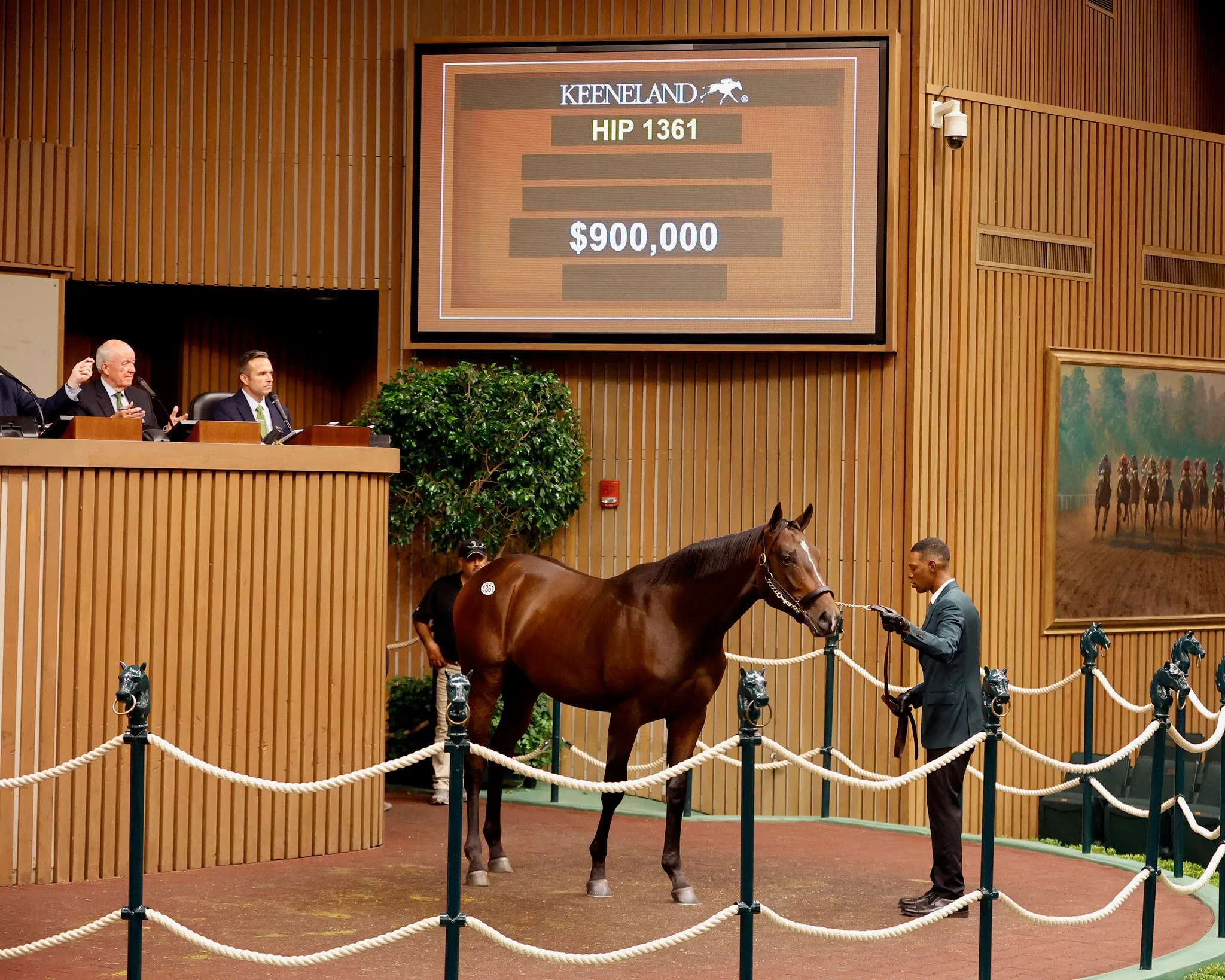 Hip 1361 $900,000 Practical Joke Colt.jpg