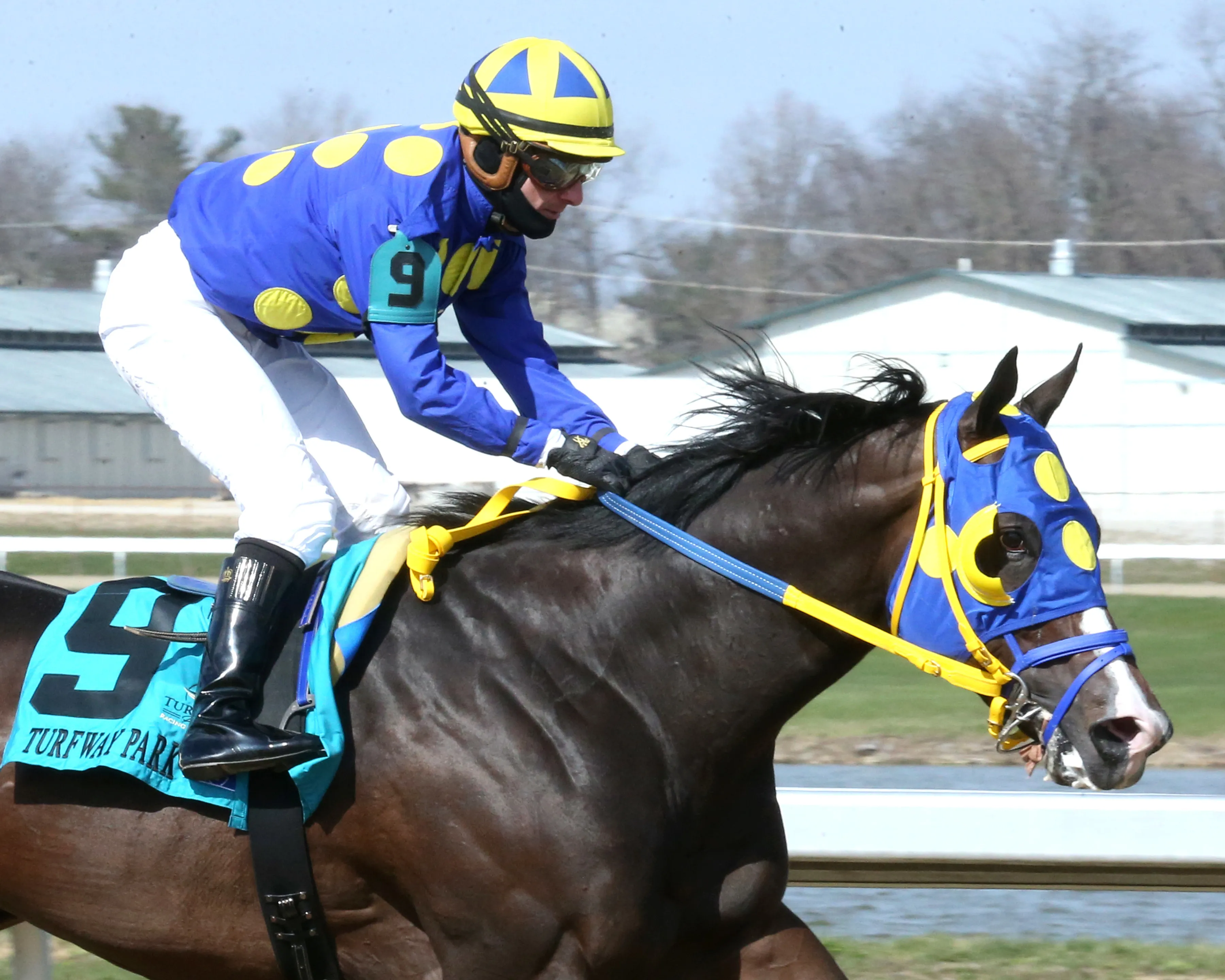 Okiro wins Animal Kingdom at TP March 23 2024