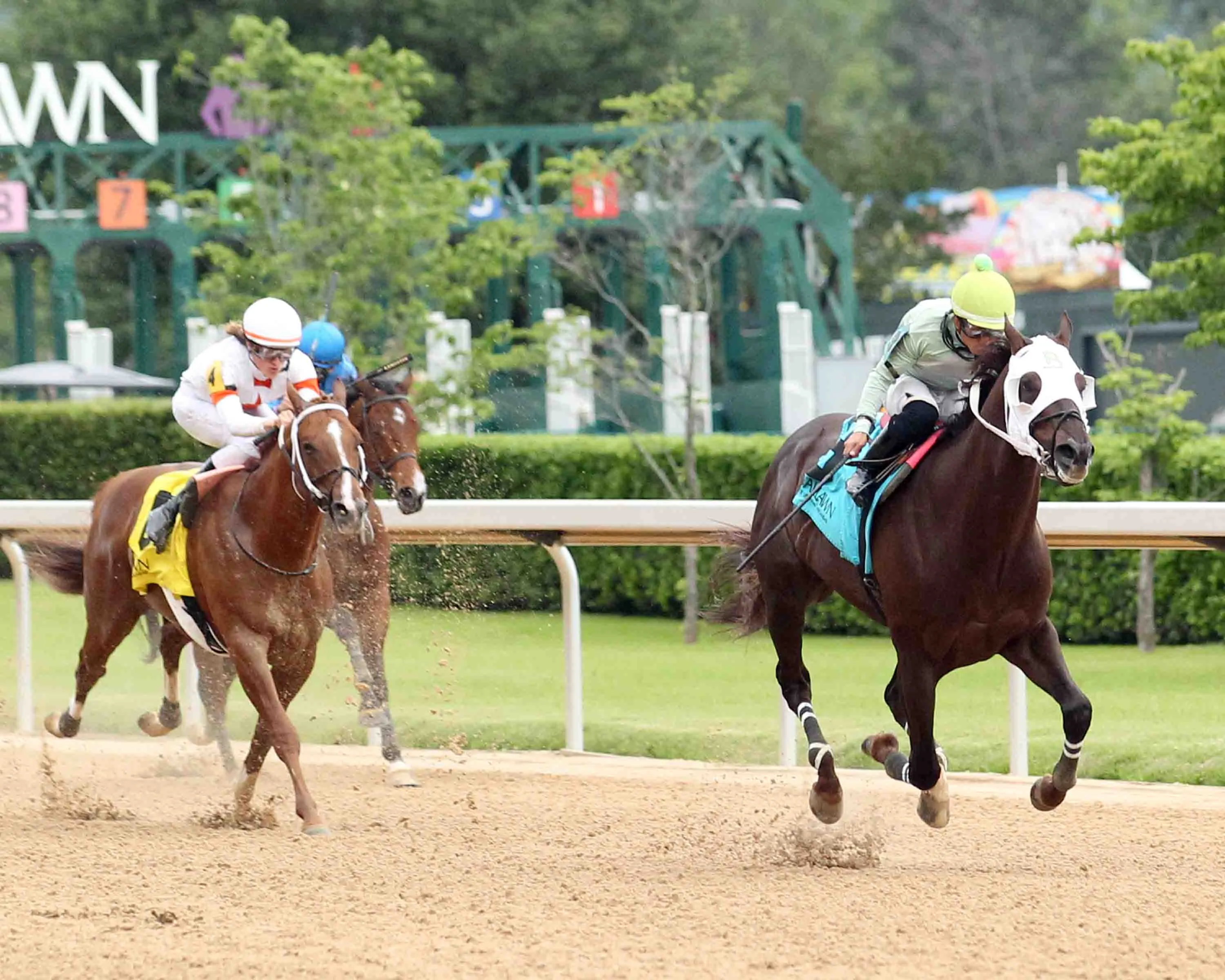 GOLD SWEEP - Lake Hamilton Stakes - 05-01-26 - R11 - Oaklawn Park - Finish 03- Natalie Moses.jpg