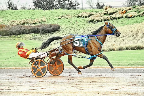 Thai Hanover 10-20-25