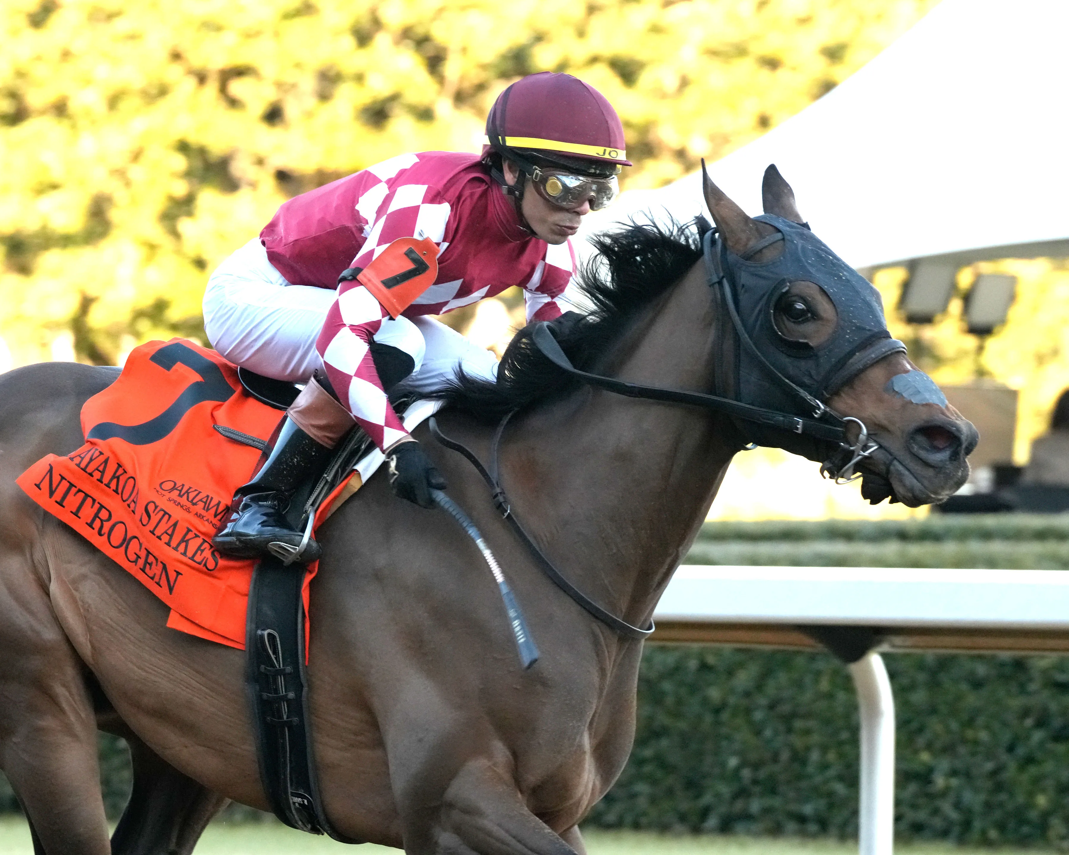 NITROGEN - The Bayakoa Stakes G3 - 02-07-26 - R09 - Oaklawn Park - Finish 04 - Shelby Layne Ridgway.jpg