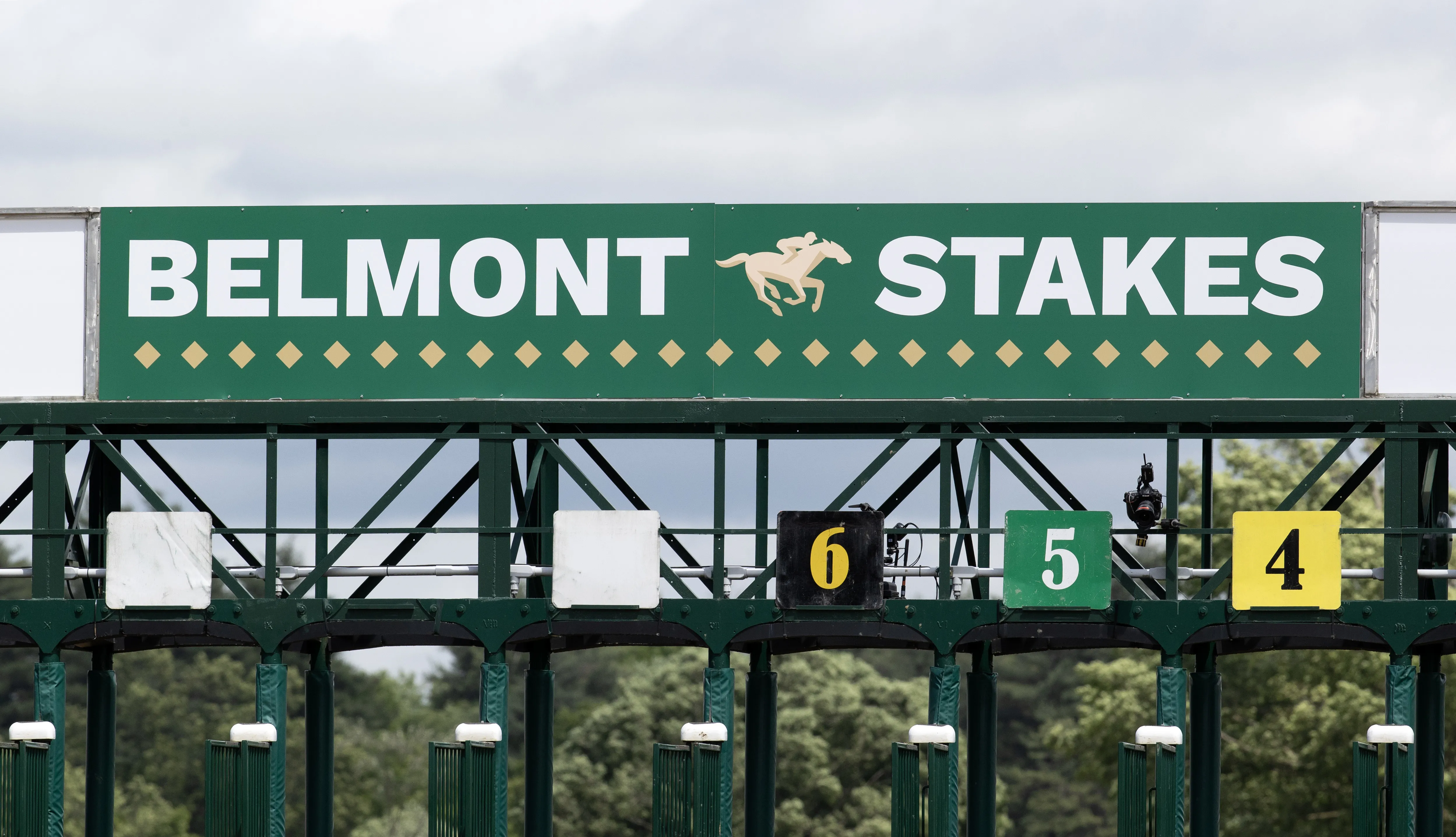 Belmont Stakes.Saratoga.6-8-24.BL_.jpg