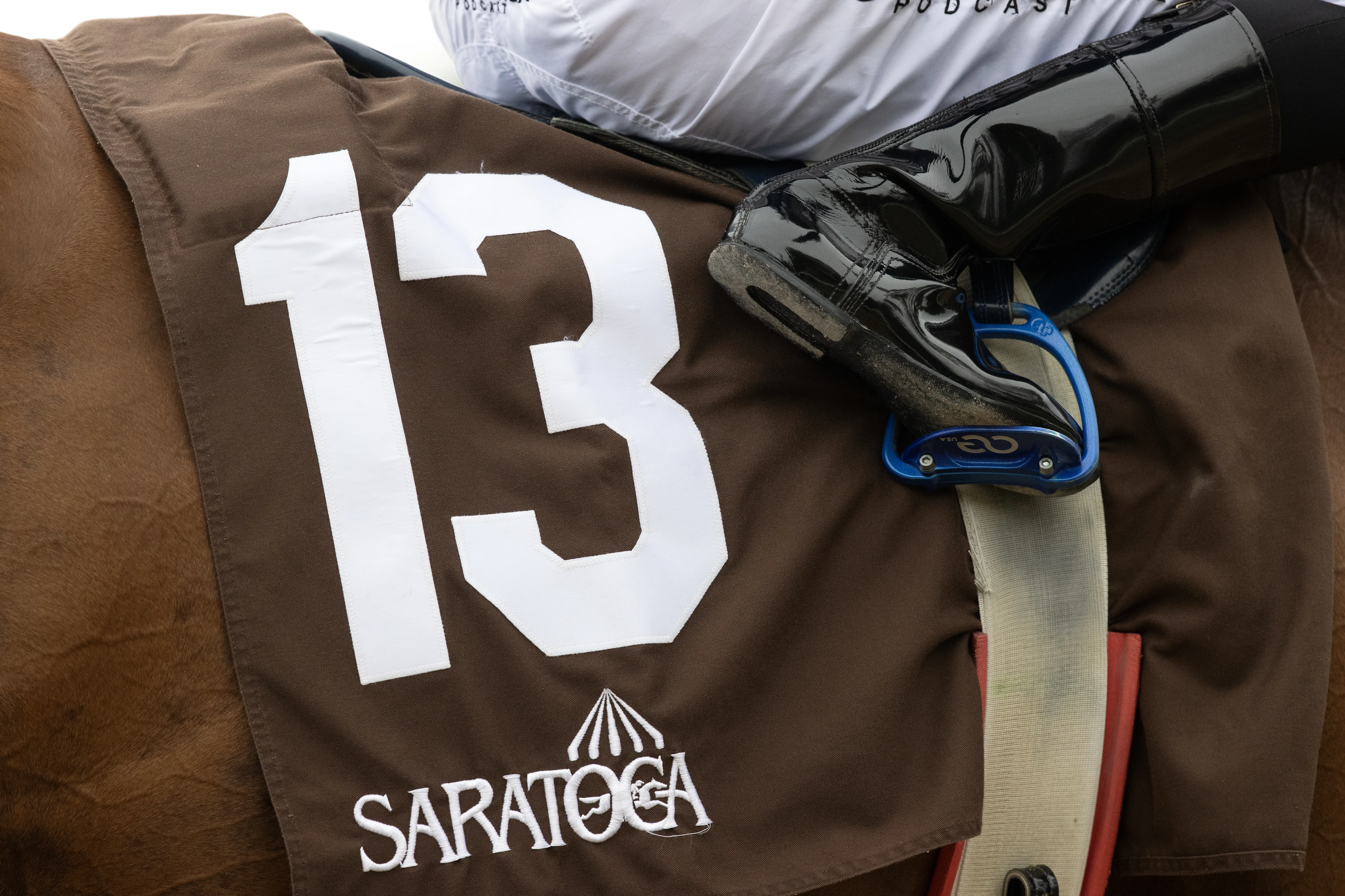 Saddlecloth.Saratoga scenic.8-20-25.BL_.jpg