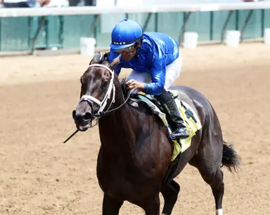 Lemon Zest leads new 4-year-olds in Oaklawn Sports