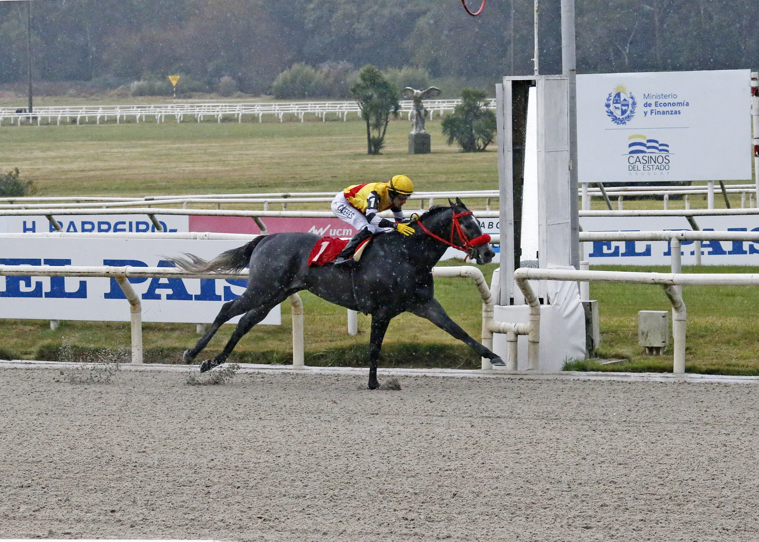 Touch of Destiny - Hipodromo Maronas photo.jpg
