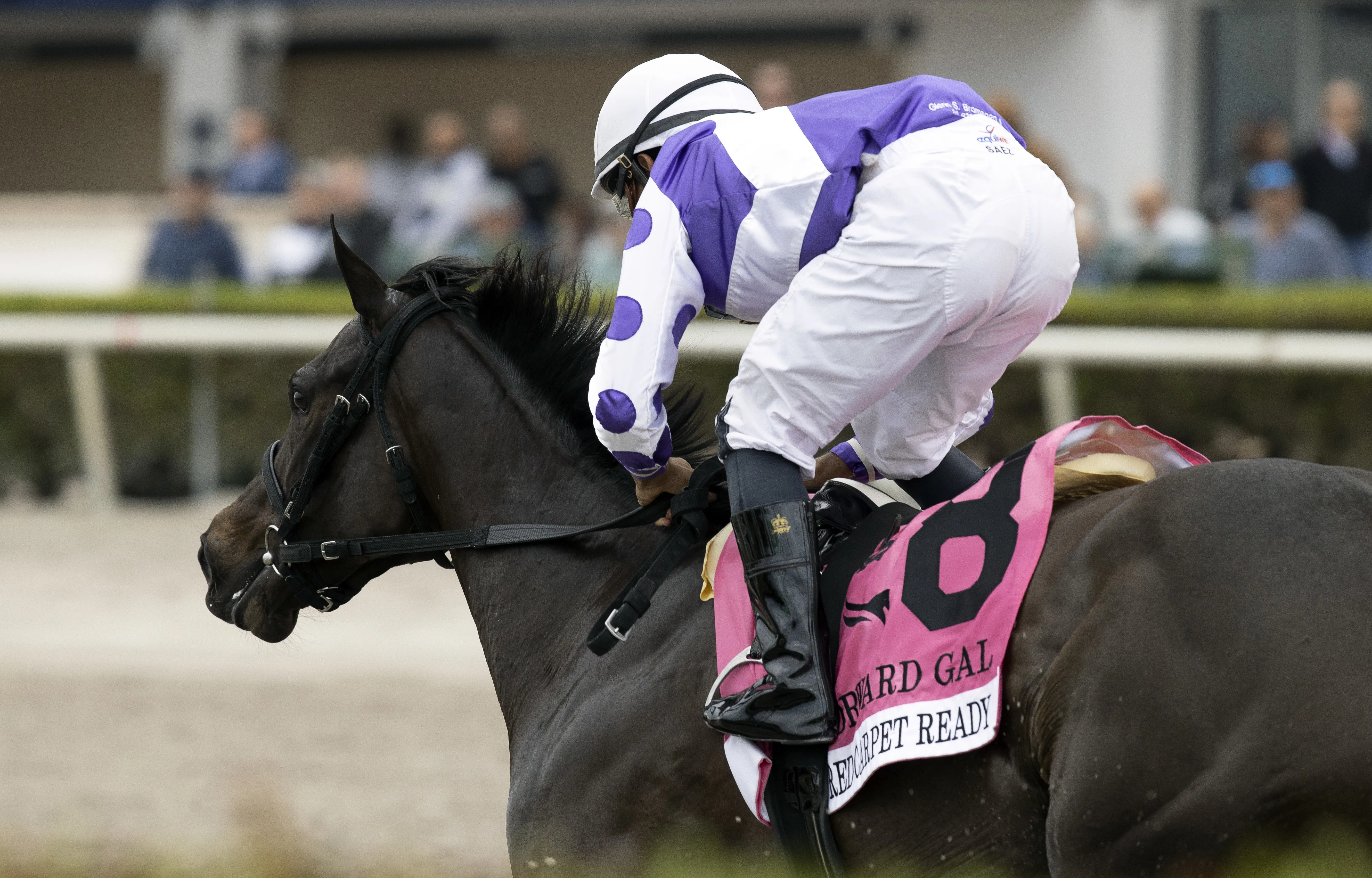 Red Carpet Ready wins the Forward Gal at GP Feb 4 2023