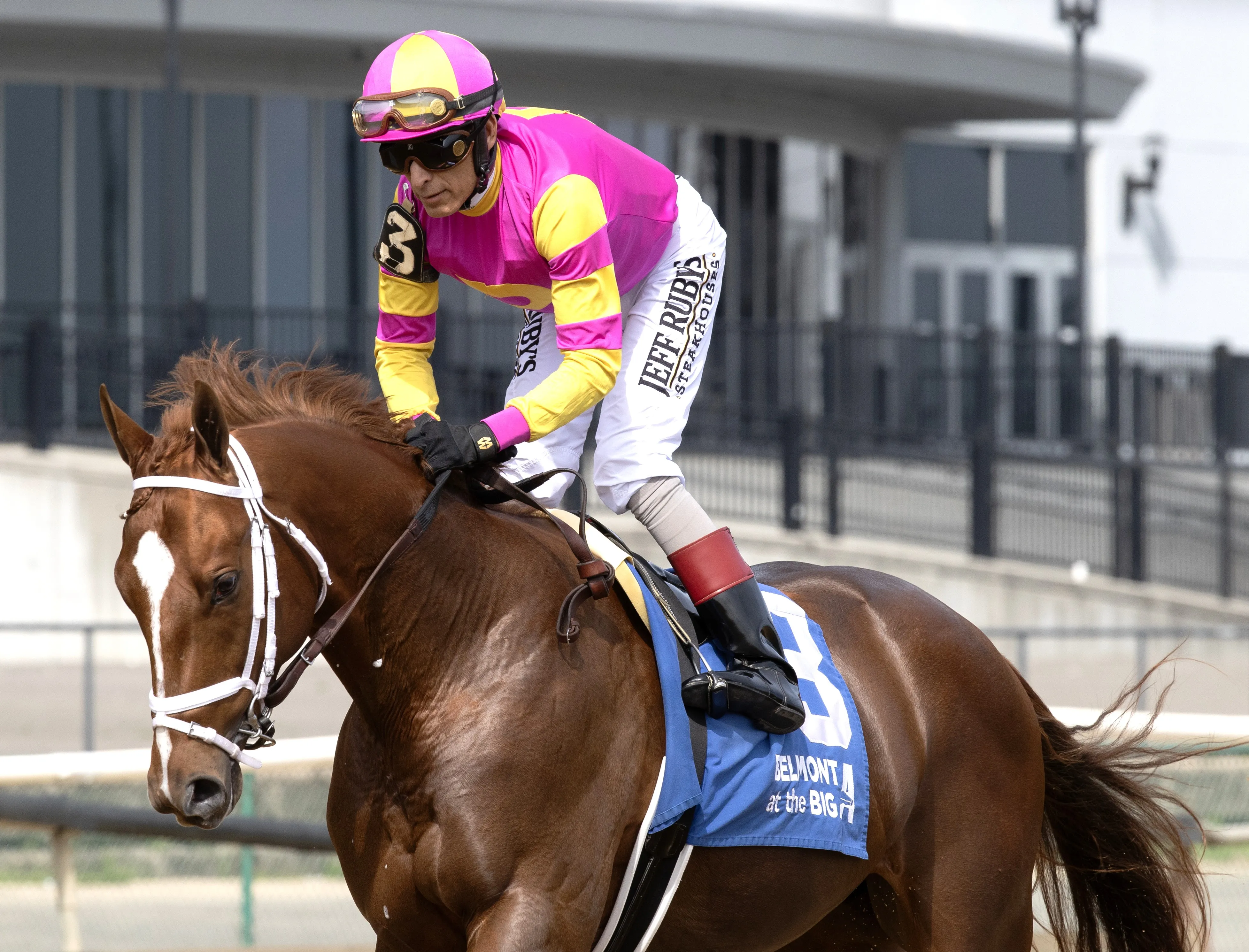 Courting at AQU Sept 27 2025