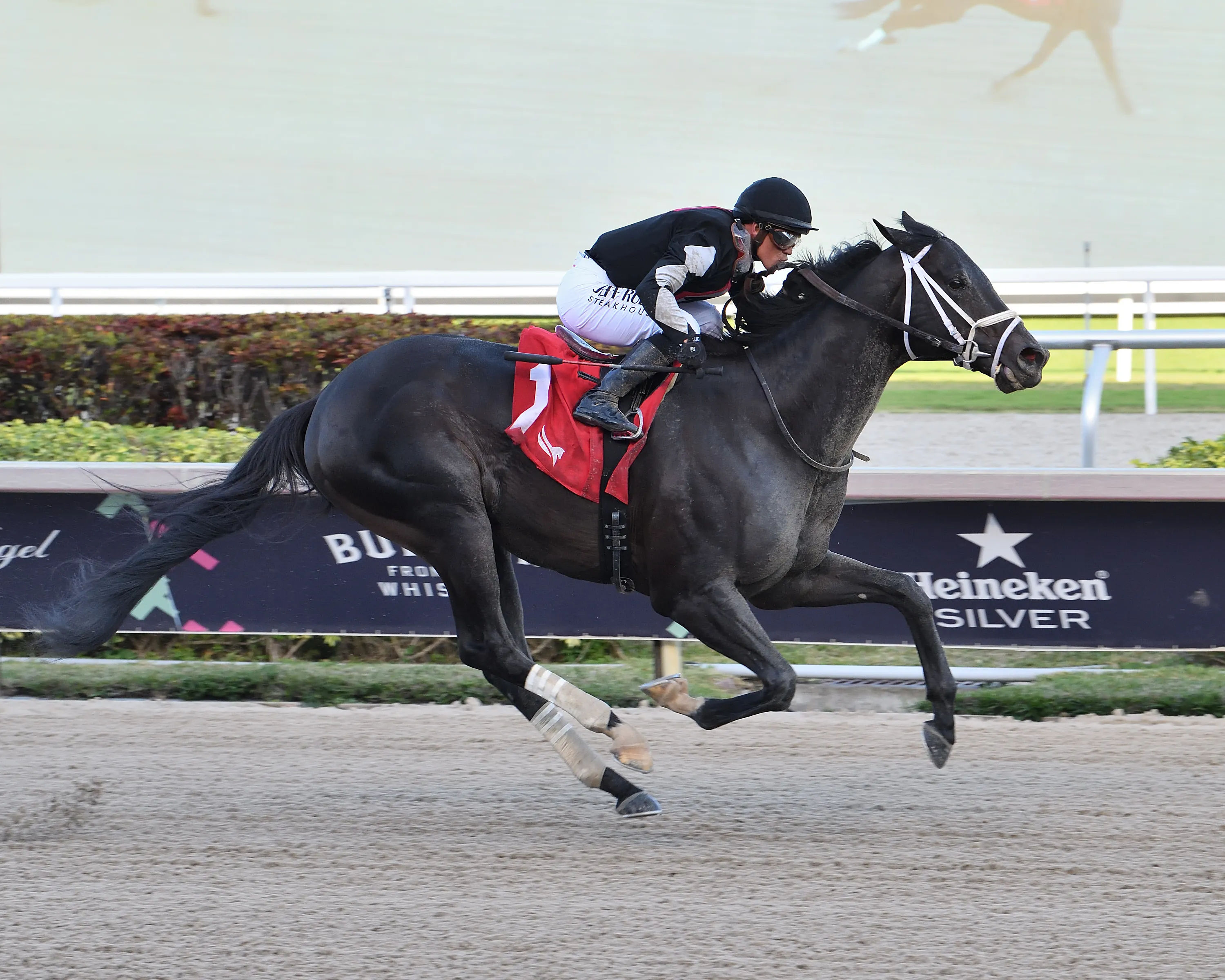 Run Classic the GP Sprint credit Lauren King.jpg