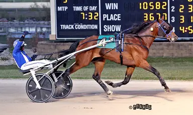 Harness:  Big Ranger crowned 2025 Ohio Horse of the Year