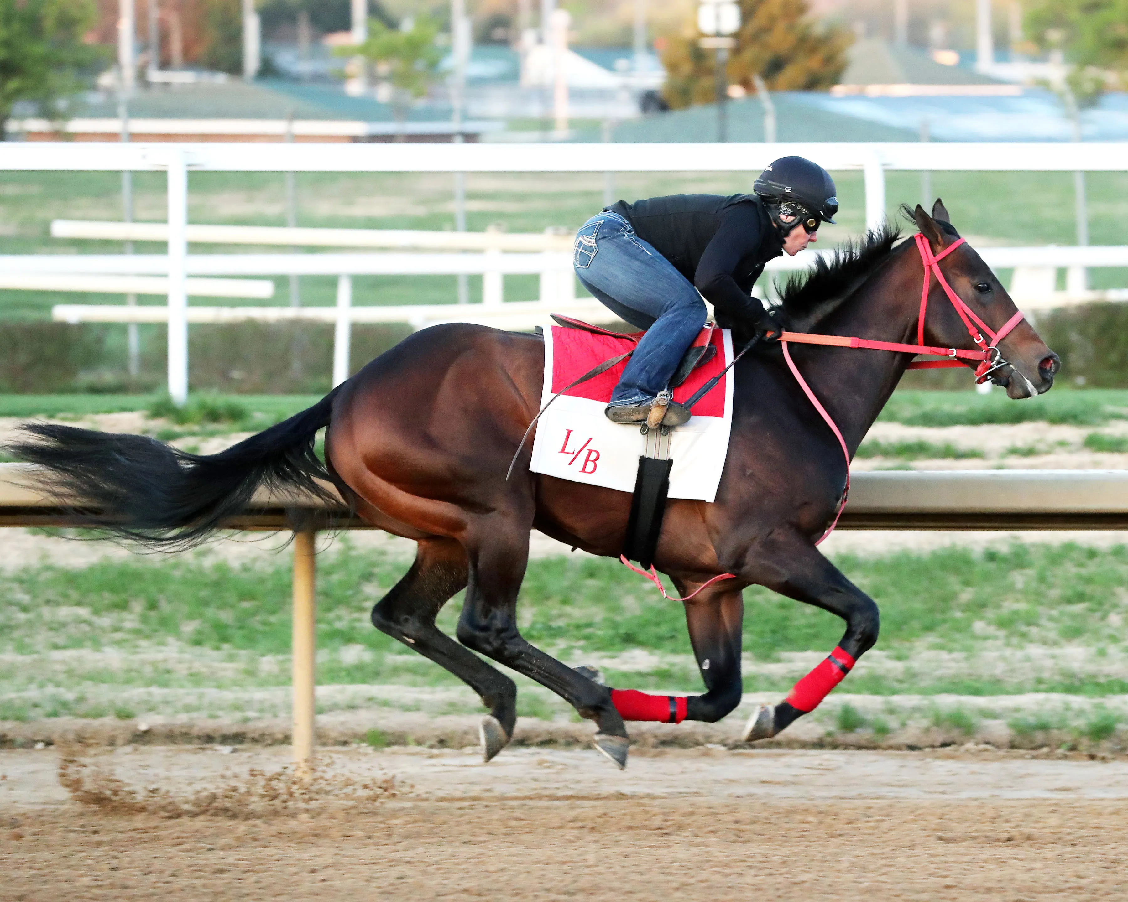 Coal Battle - Work - Churchill Downs - 04-08-25 - 002 - Renee Torbit.jpg
