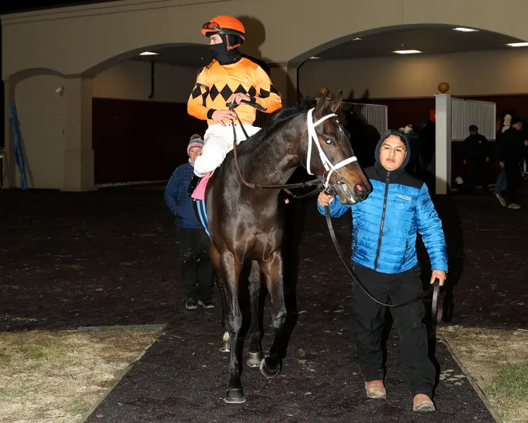MAP OF THE MOON - The Gowell Stakes 32nd Running - 01-01-26 - R08 - Turfway Park - Comeback.jpg