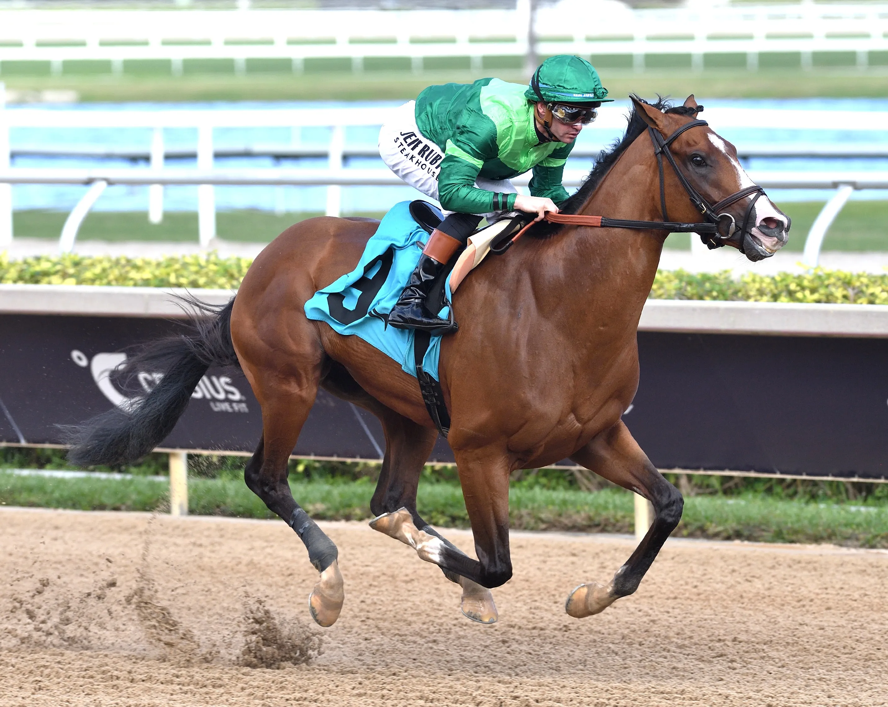 Canaletto wins debut at GP Jan 25 2026