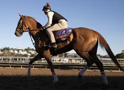 Champion She Feels Pretty retired