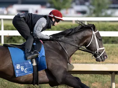 Moonlight a threat as Just a Touch again tries for elusive first stakes win