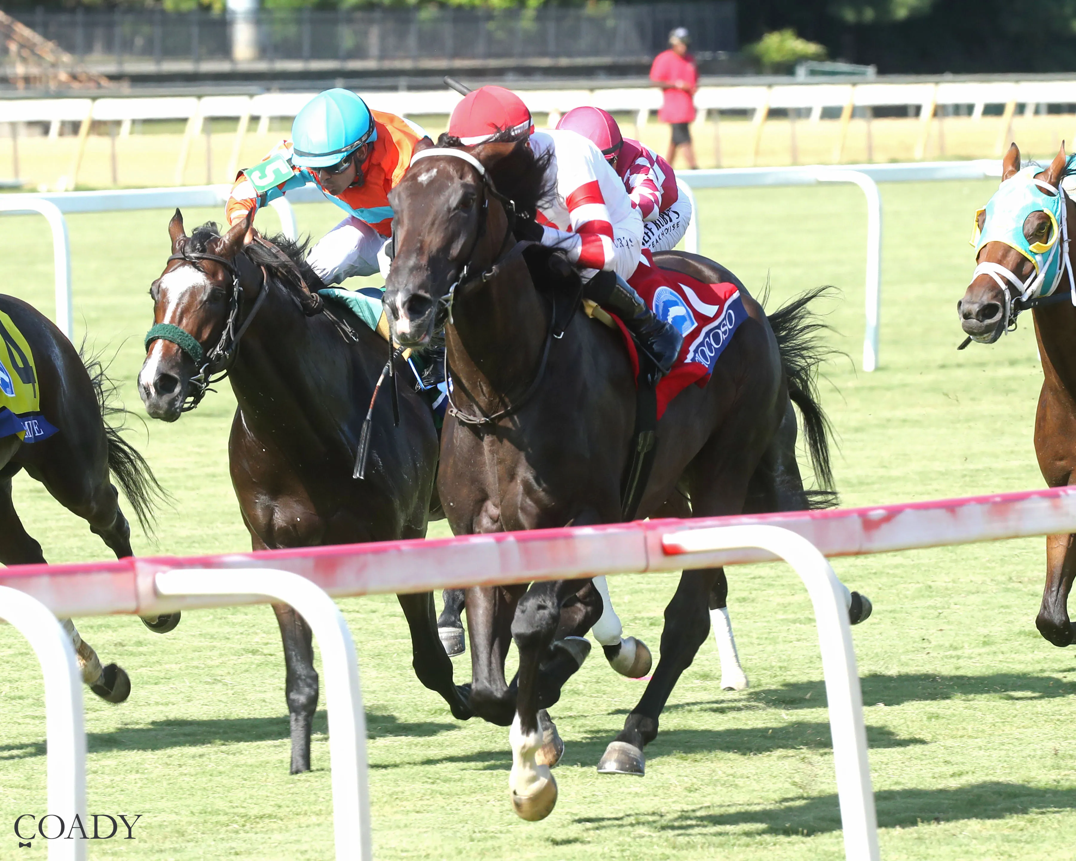 GIOCOSO - The Secretariat Stakes - 08-09-25 - R09 - Colonial Downs - Inside Finish 02 - Renee Torbit.jpg
