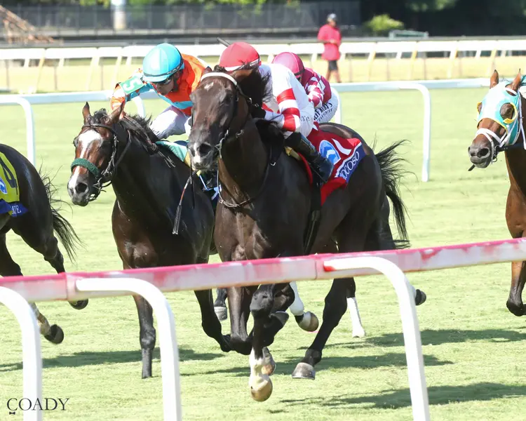 GIOCOSO - The Secretariat Stakes - 08-09-25 - R09 - Colonial Downs - Inside Finish 02 - Renee Torbit.jpg