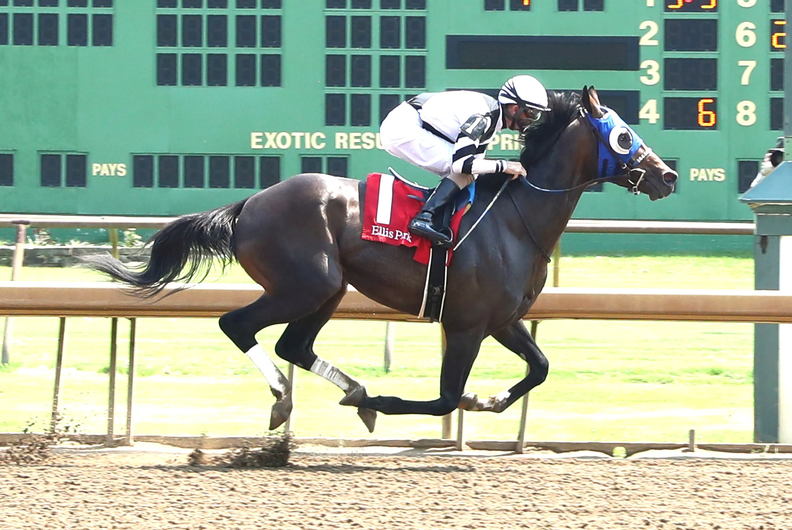 Maximum Promise wins maiden at ELP on Aug 3 2024