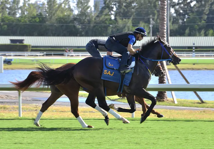 Gulfstream Park turf work Nov 27 2023