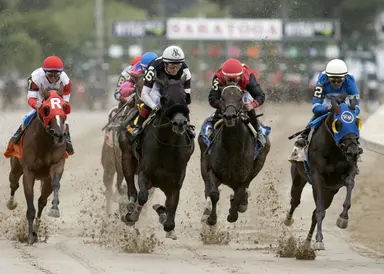 Gratefully ready to go on turf or dirt