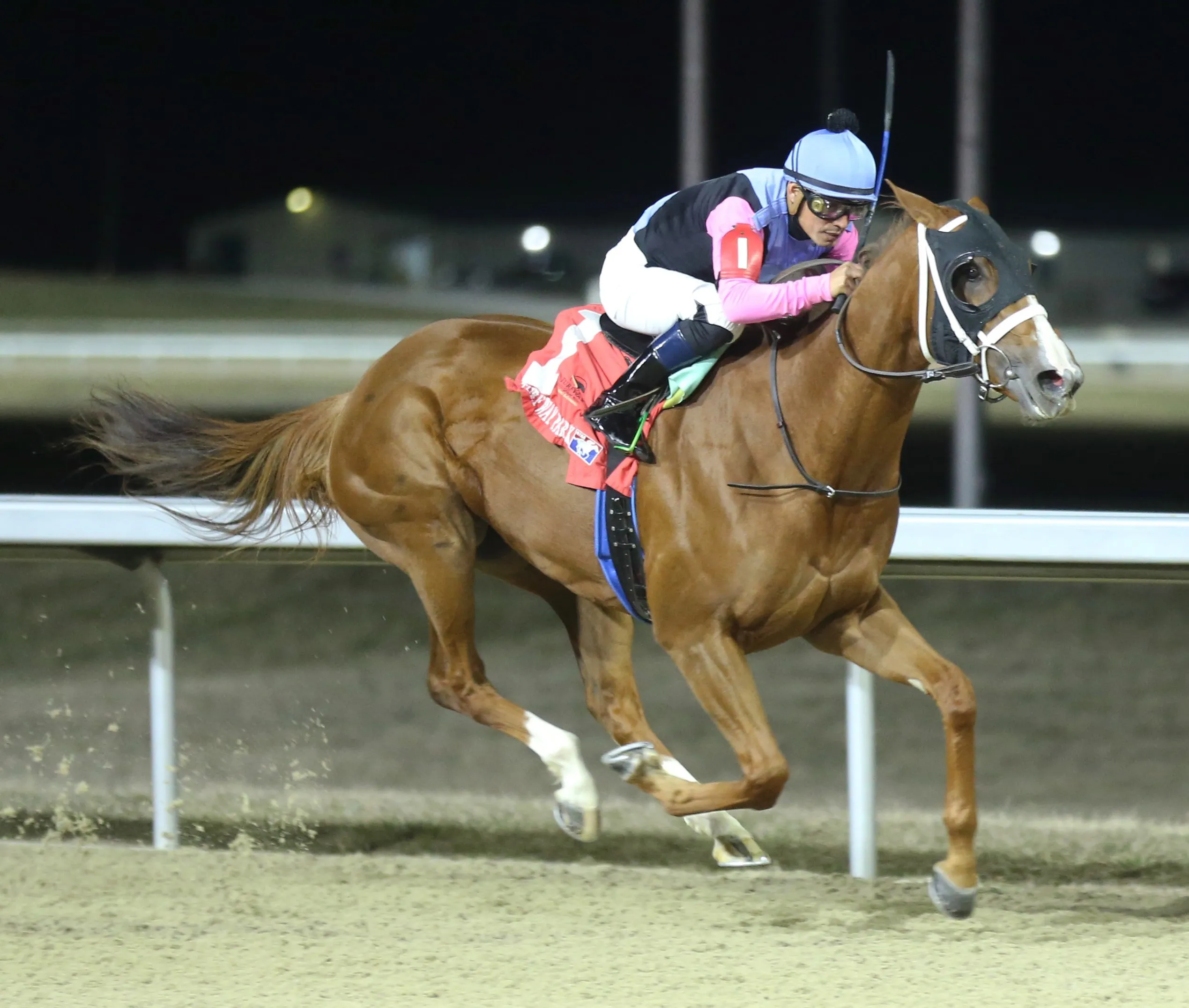 Voice From Above wins at TP Feb 21 2024
