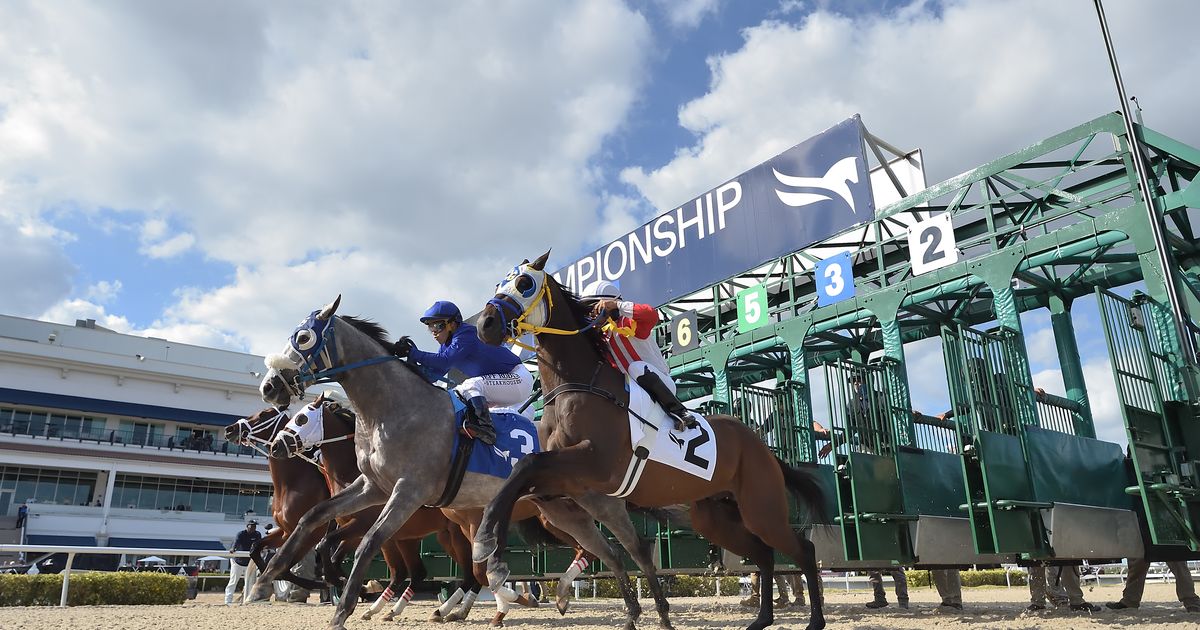 DRF's Horse Racing Playbook for Sunday, April 26, 2026