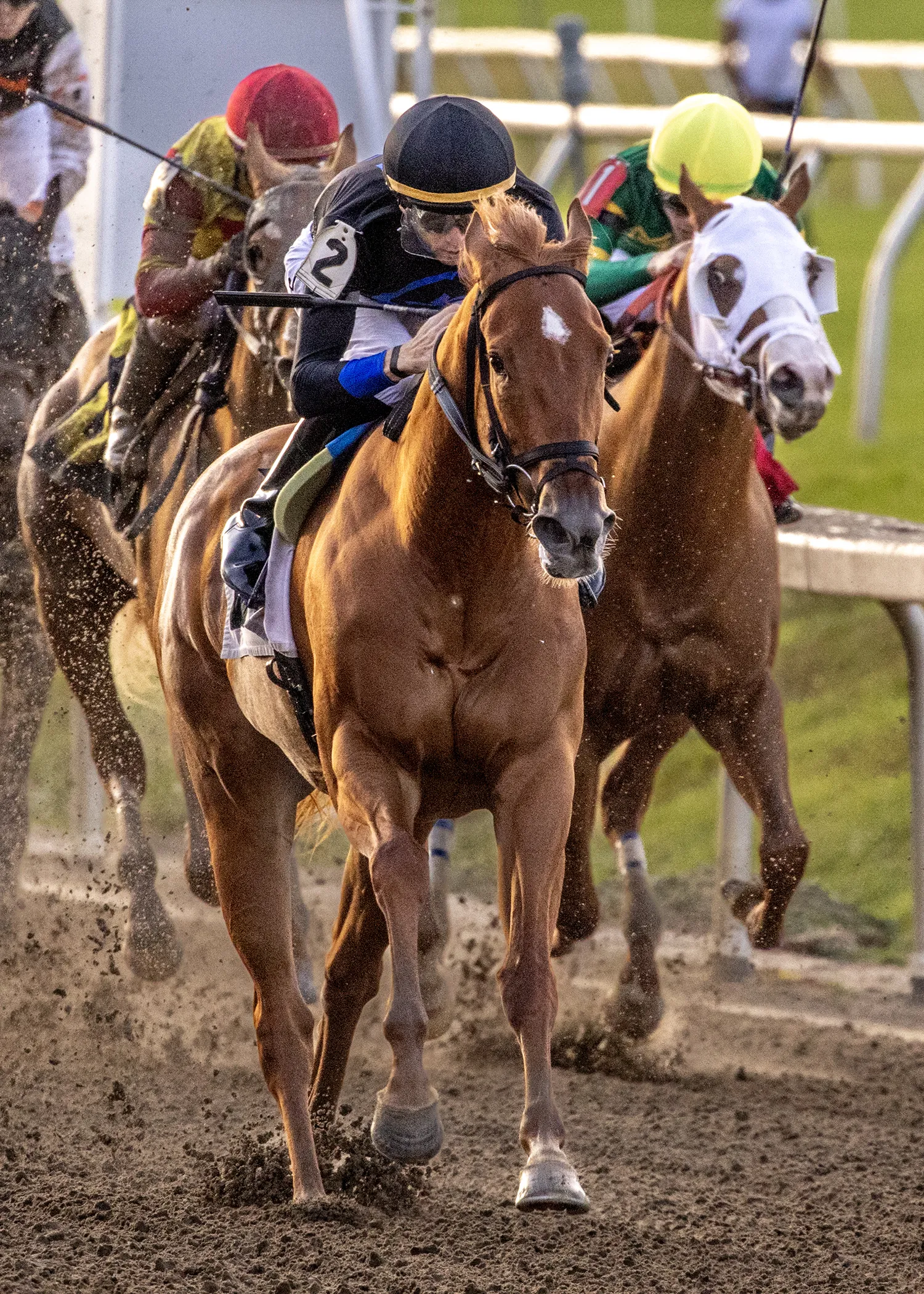 Little Miss Curlin_HO_11-21-2025.jpg