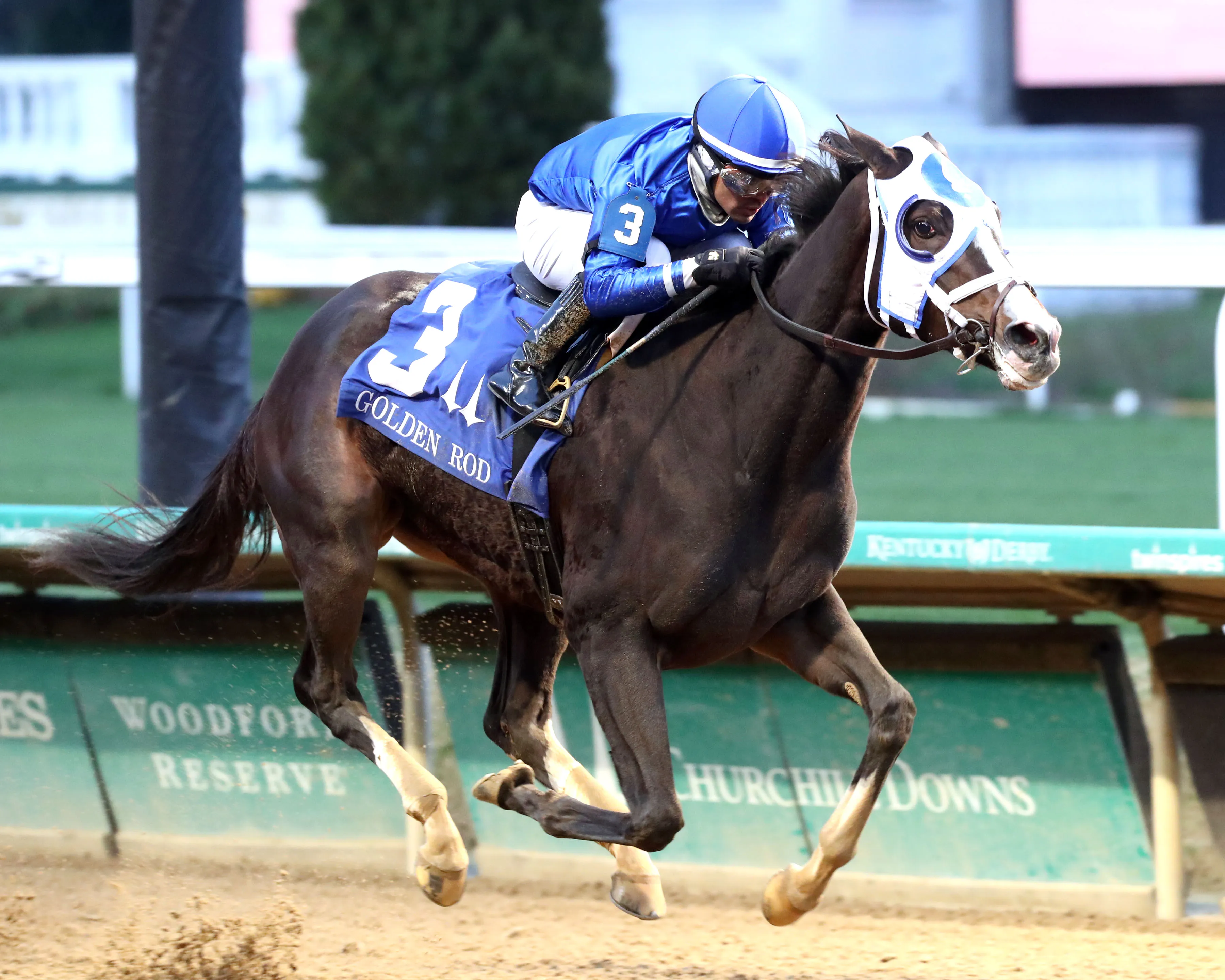 Eclipse Awards Good Cheer
