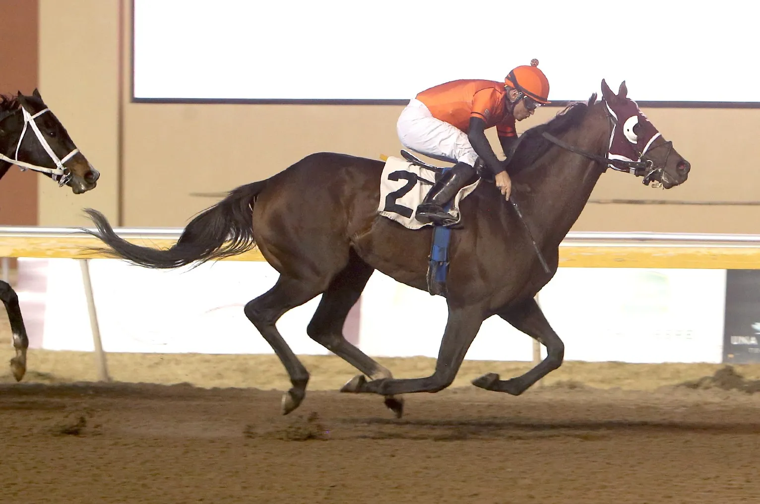 Chrome Baby wins at RP Nov 14 2023