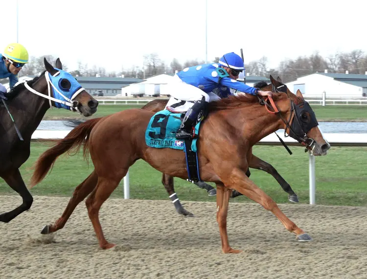 Exington wins maiden at TP March 28 2025