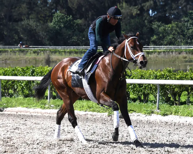 River Thames at Palm Beach Downs in March 2025