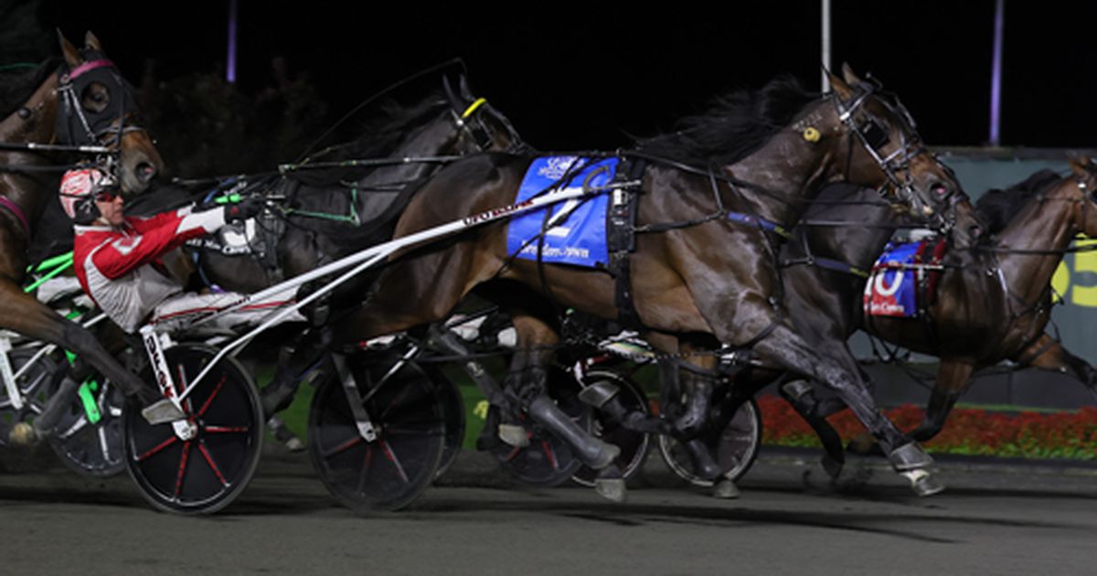 Oak Grove: Trotting Derby highlights $1.5 million Saturday card