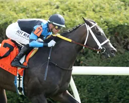 In Our Time takes Giant's Causeway, caps big weekend for jockey Prat