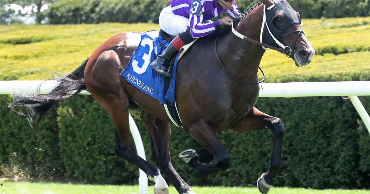 Russell looks to continue career year in Tale of the Cat