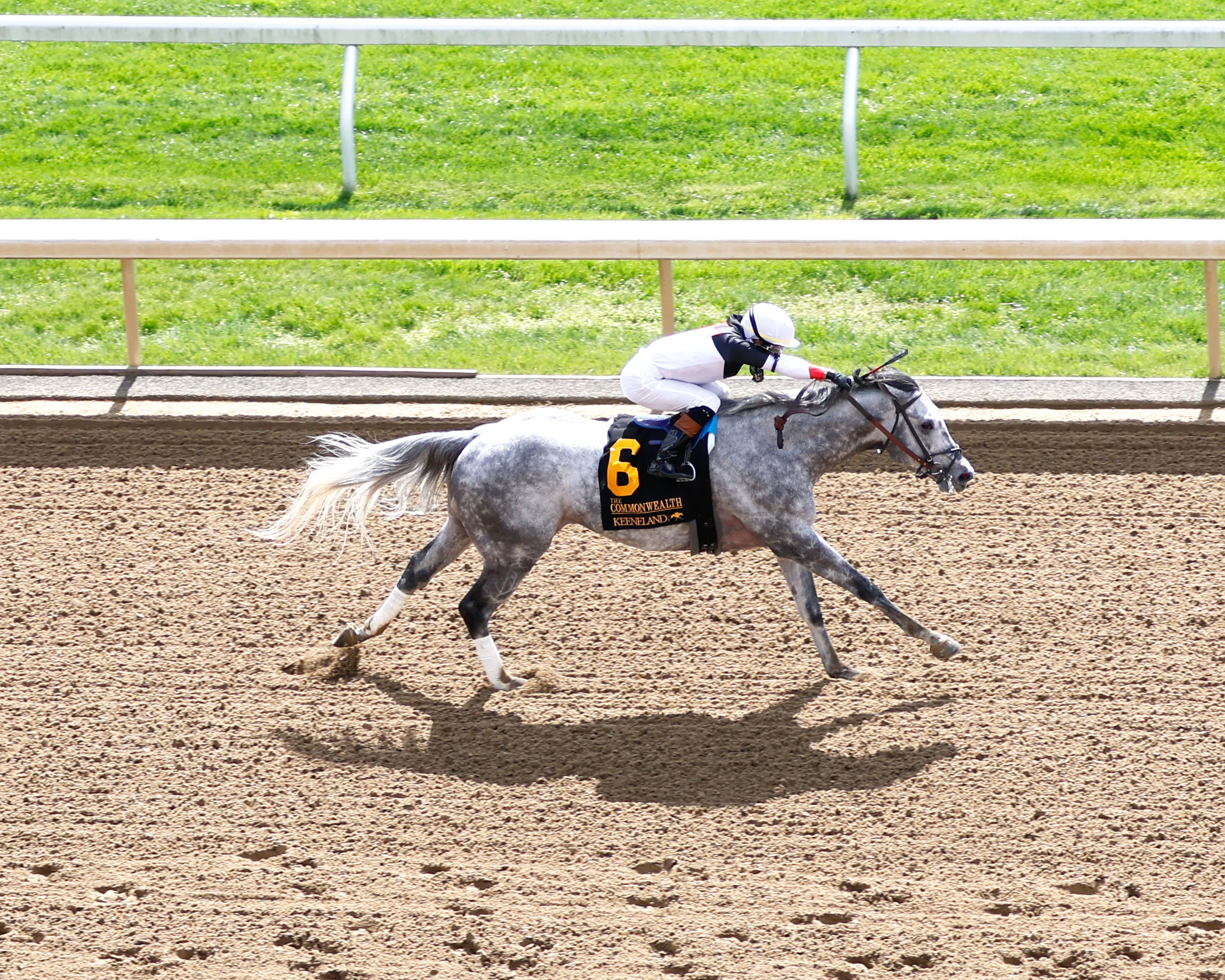 BO CRUZ - The Commonwealth G3 - 04-06-24 - R06 - Keeneland Race Course - Aerial Finish  01 - Cathy Allinikov.jpg