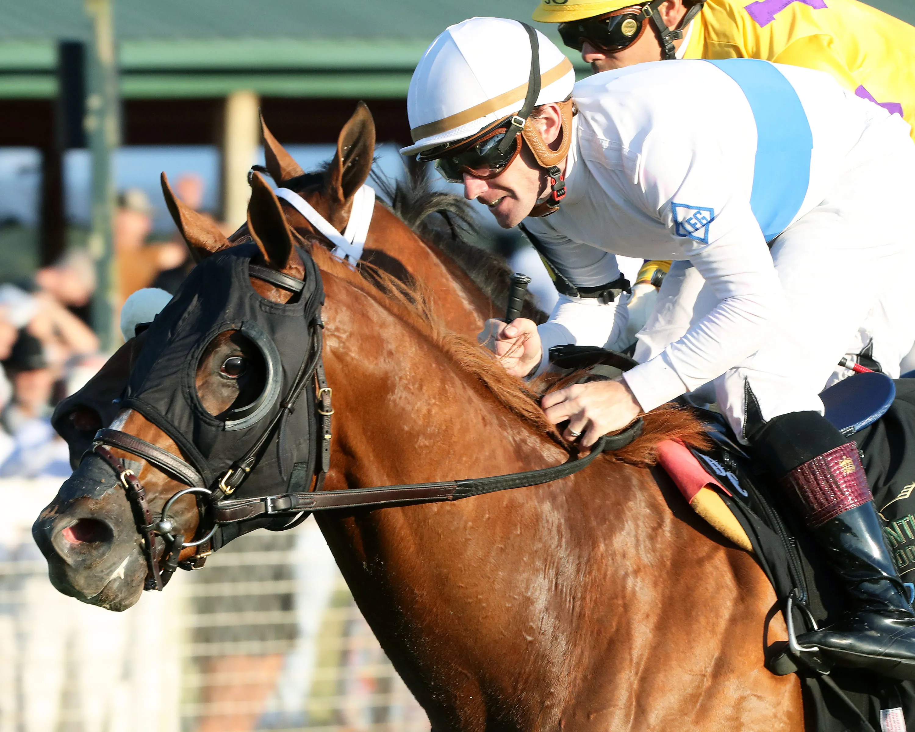 ANGLOPHILE - The National Thoroughbred League Dueling Grounds Derby G3 - 10th Running - 09-03-23 - R11 - KD - Inside Finish 01.jpg