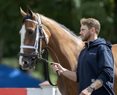 Expensive yearling Metfardeh might finally put it together
