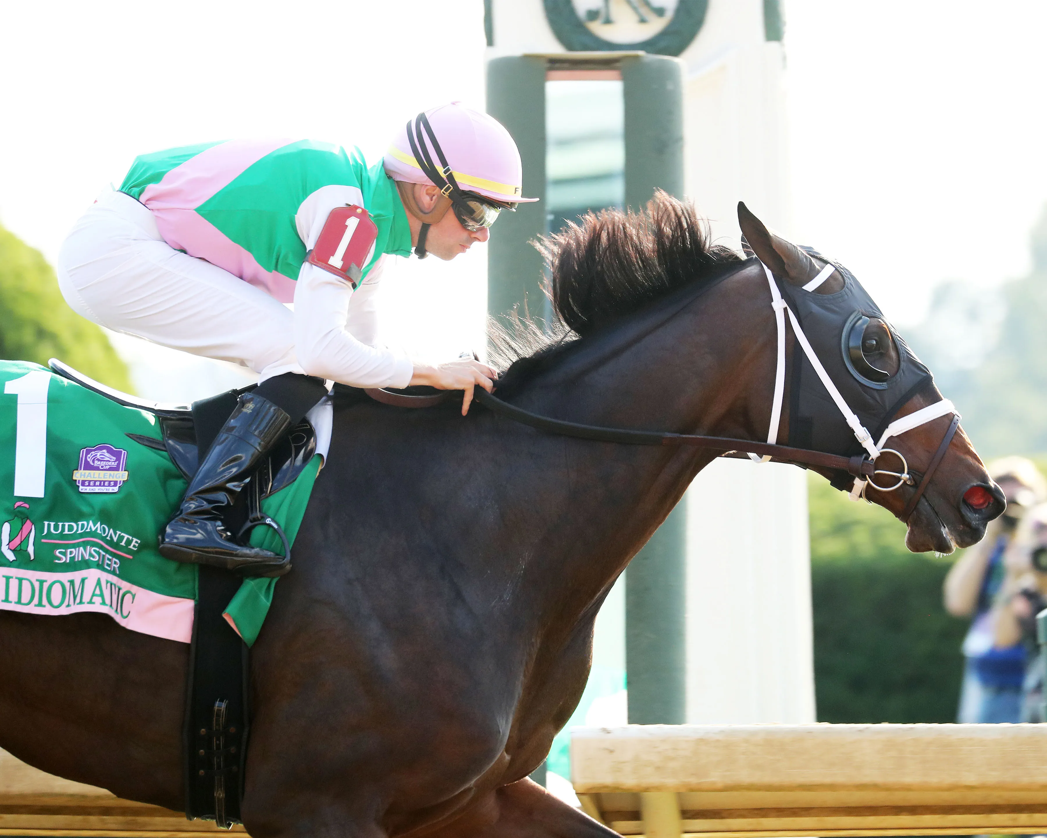 Eclipse Awards Idiomatic