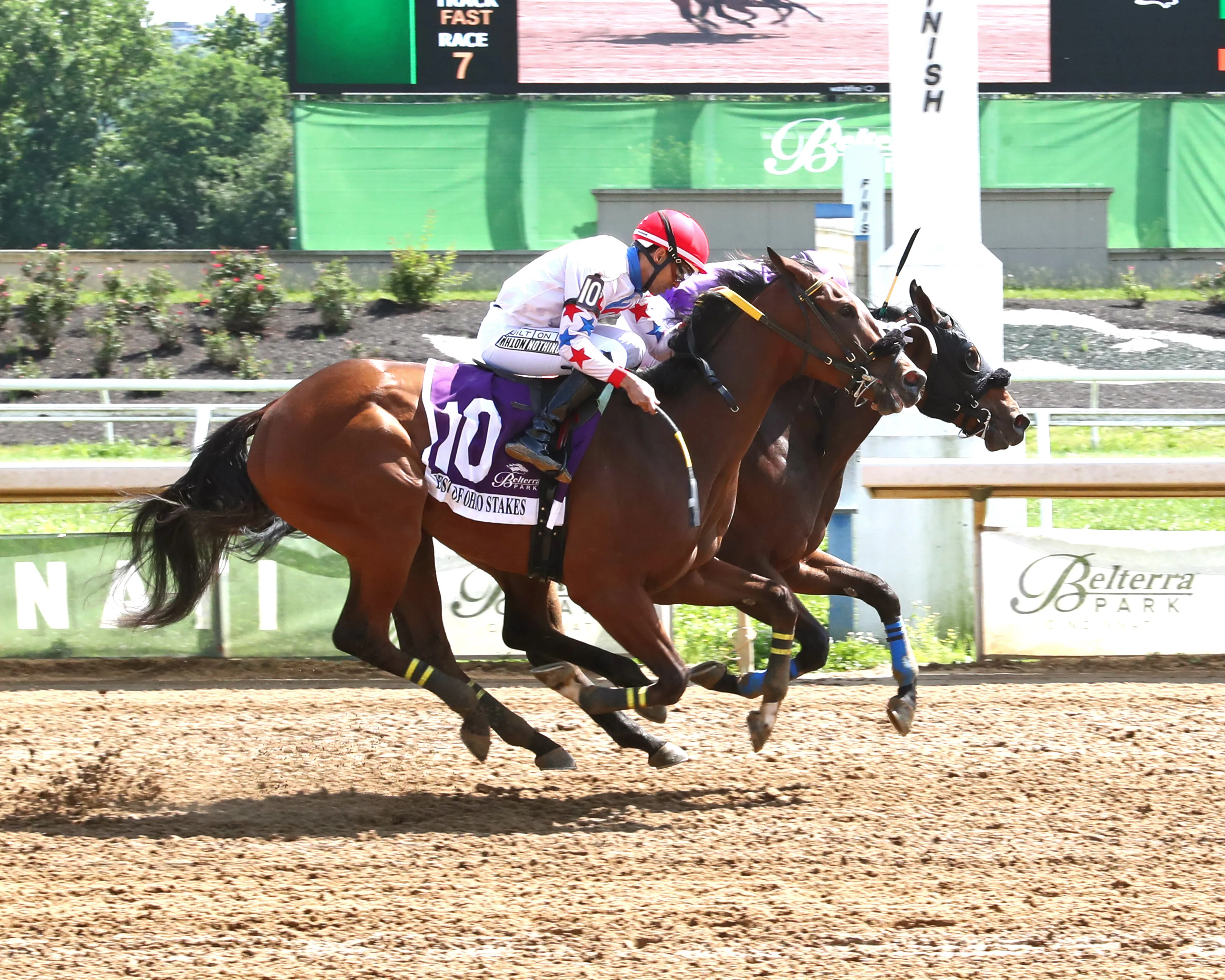 WATER INTO WINE - The Green Carpet Stakes - 05-29-26 - R07 - Belterra Park - Finish 01 - Devin Hall.jpg