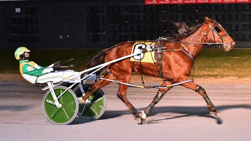 Gaitway Guy 12-14-23