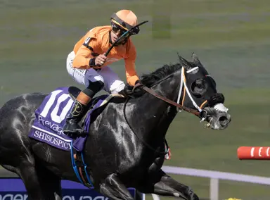 2025 Eclipse Awards: Shisospicy