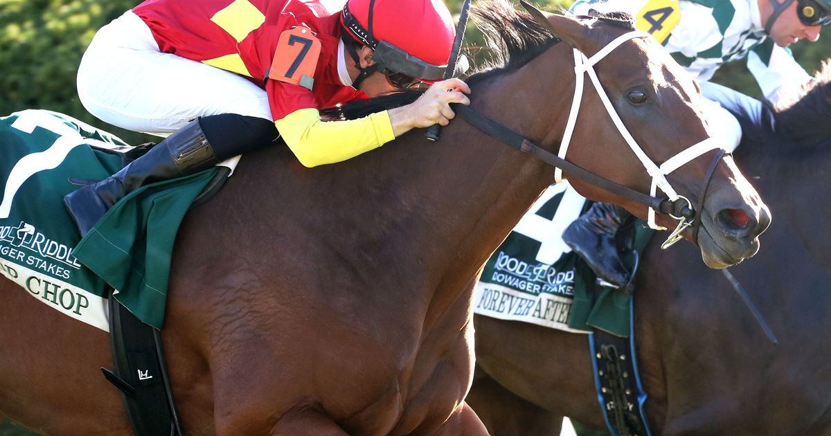 Rebounding jockey Machado guides Chop Chop to Dowager victory