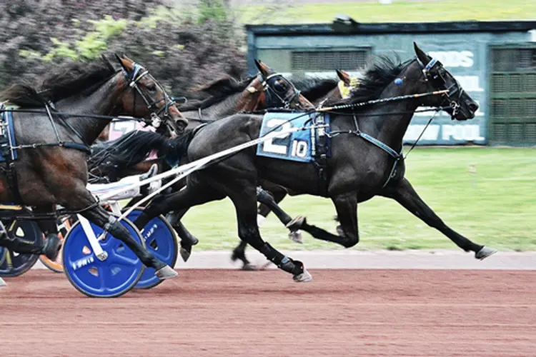 Frattina Diablo S 6-14-26
