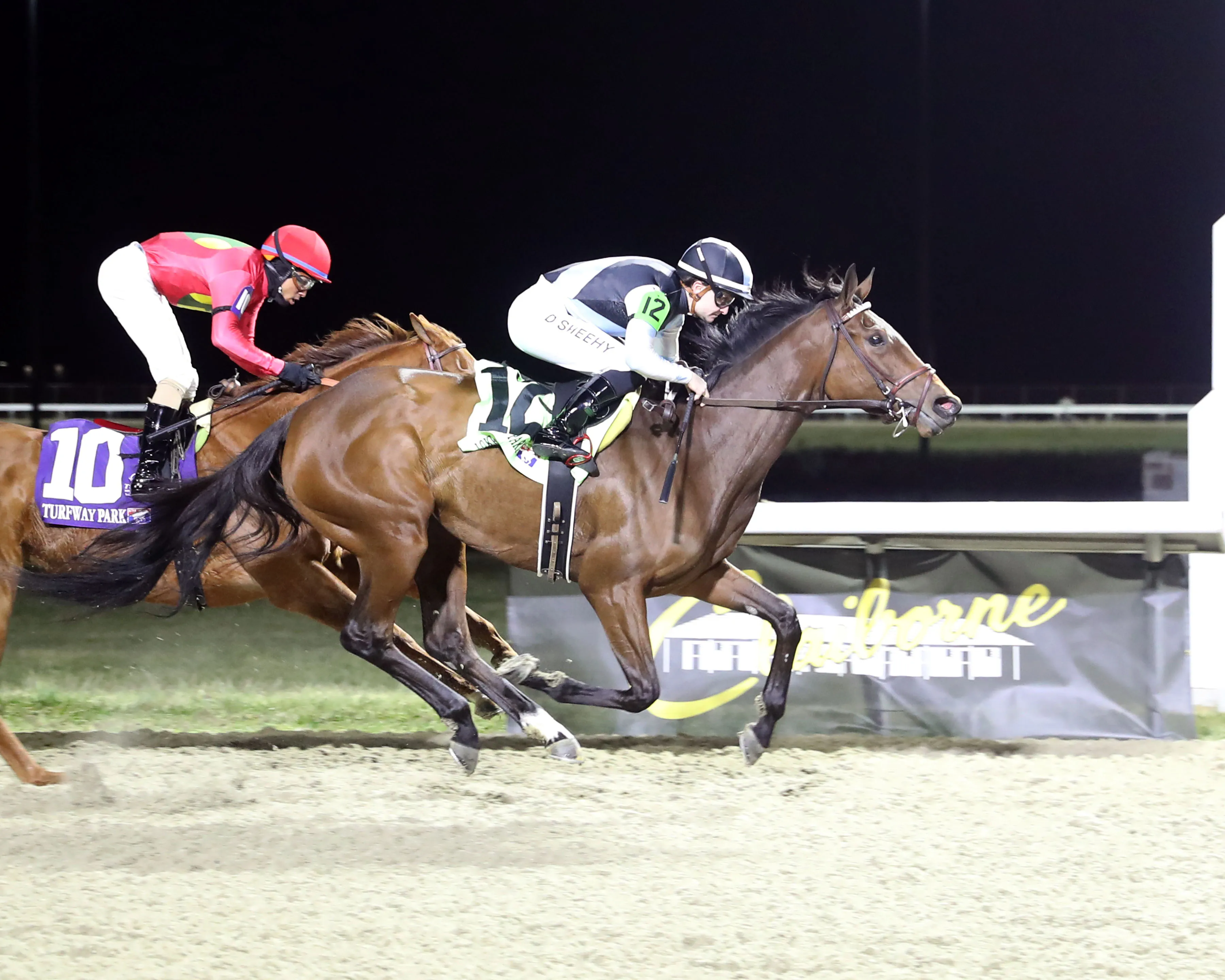 SPEED SHOPPER - The Florence Stakes 1st Running  - 12-20-25 - R08 - Turfway Park - Finish 01.jpg